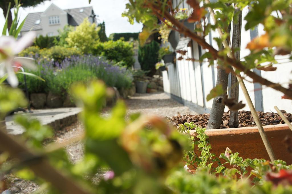 Lyng Dal Hotel Og Restaurant リュー エクステリア 写真