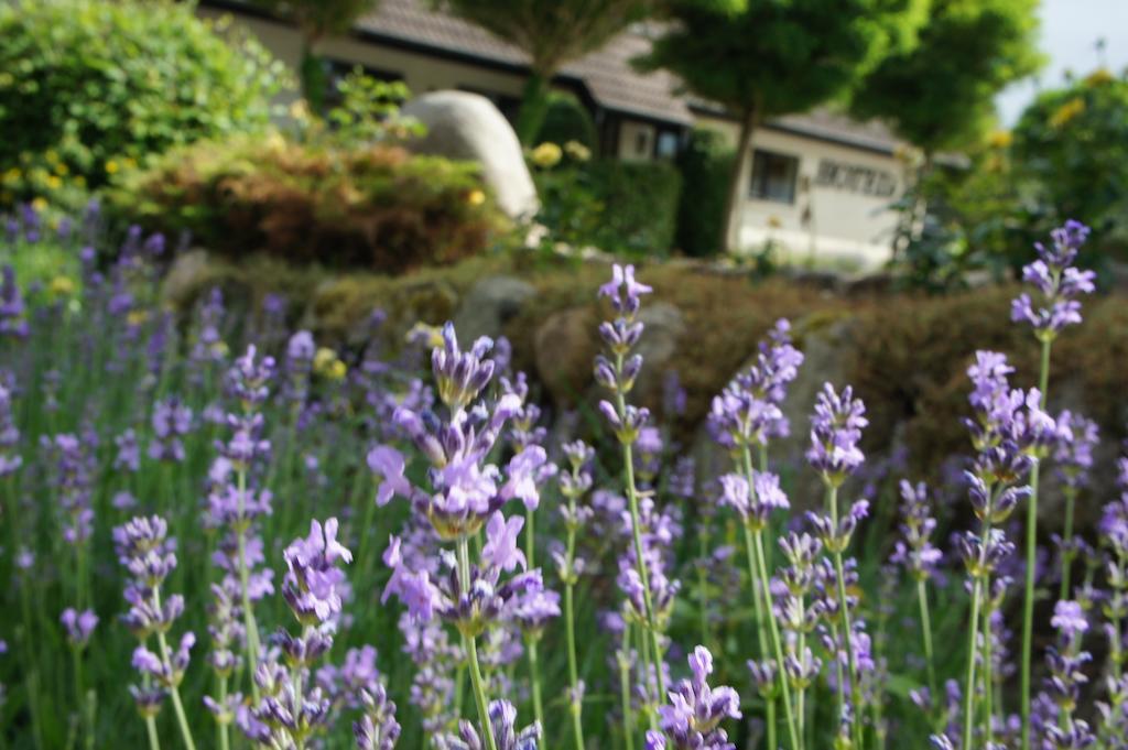Lyng Dal Hotel Og Restaurant リュー エクステリア 写真