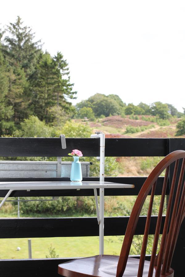Lyng Dal Hotel Og Restaurant リュー エクステリア 写真